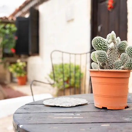 Casa El Drago * Arico