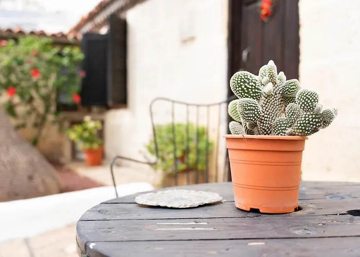 Casa El Drago * Arico